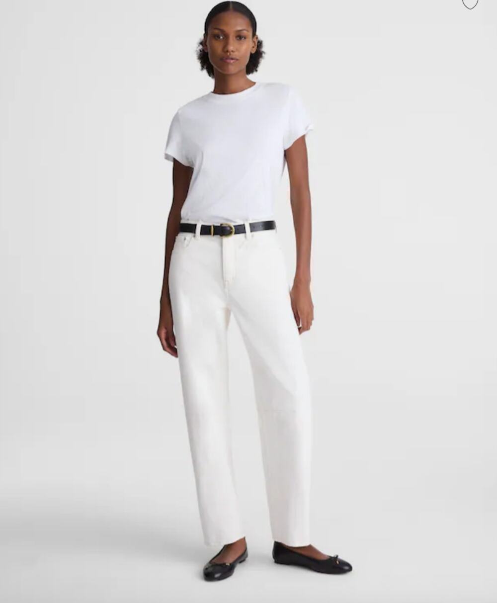Madewell Darted Barrel Leg Jean 28 NWT